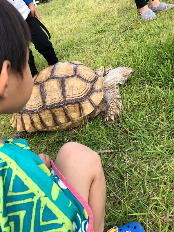 日本・木更津「木更津」の写真