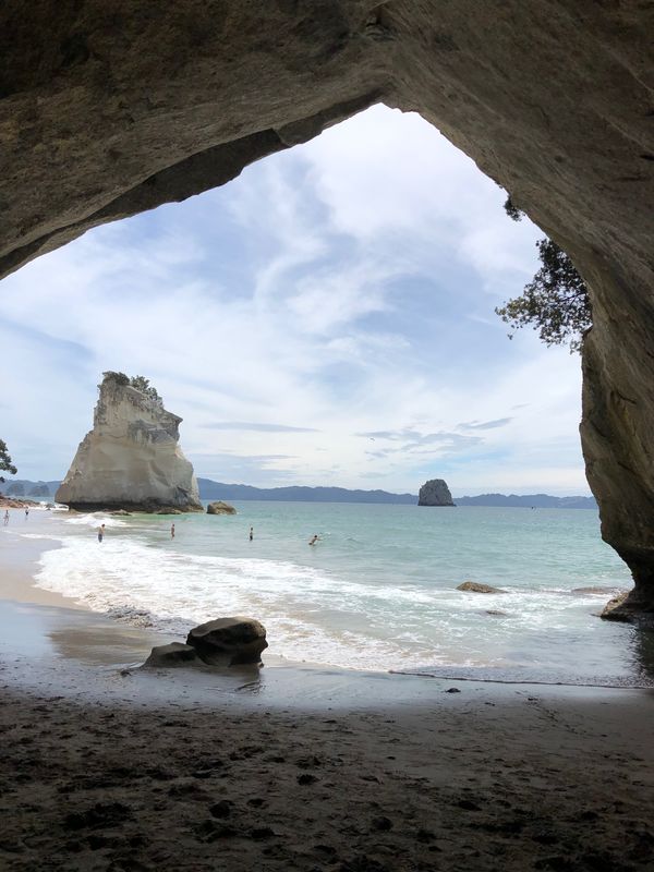 ニュージーランド・オークランド「NZ」の写真