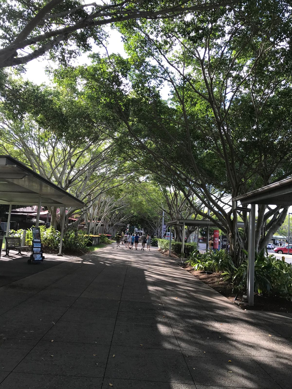 ケアンズ1日目②
・エスプラネード通り
・ラグーン
・ナイトマーケット