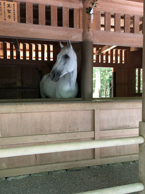 日本・伊勢神宮「伊勢＊鳥羽」の写真