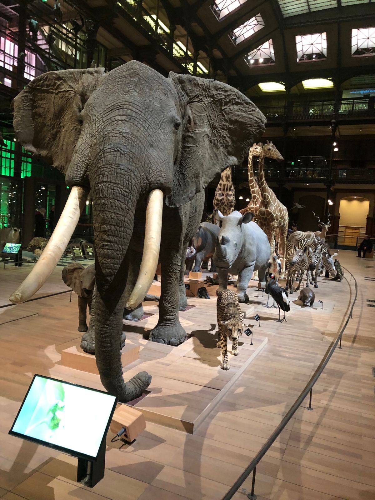 1枚目 セイントシャペル、圧巻のステンドグラス。
2枚目 ジャンヌダルク像...