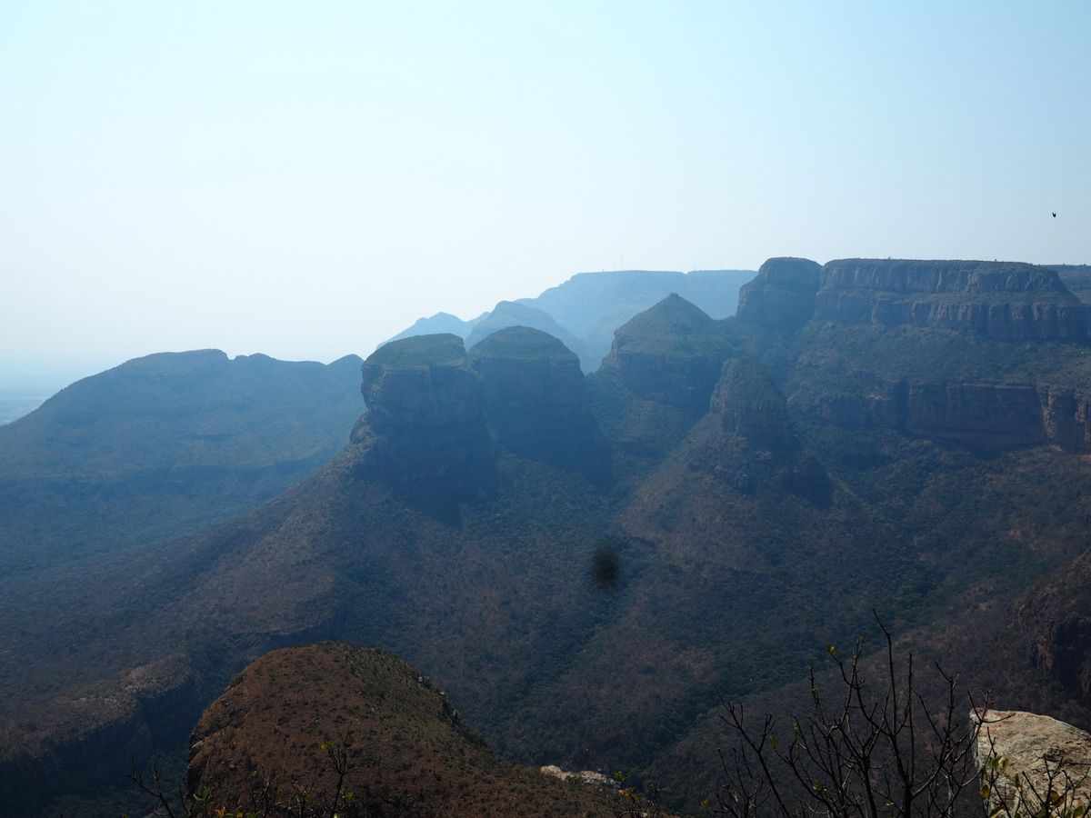 サファリのあと、ケープタウンに戻るフライトが翌日のため、クルーガー国立公園...