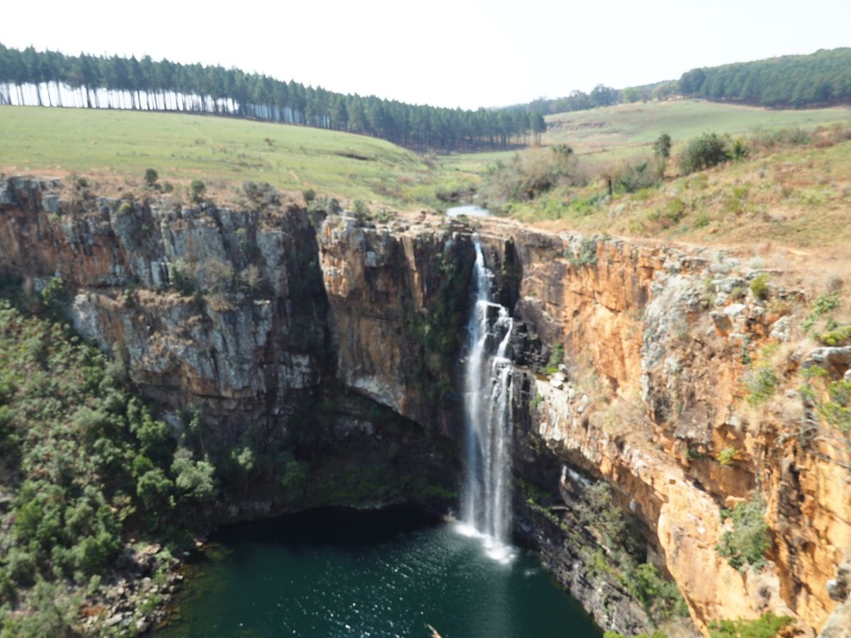 サファリのあと、ケープタウンに戻るフライトが翌日のため、クルーガー国立公園...