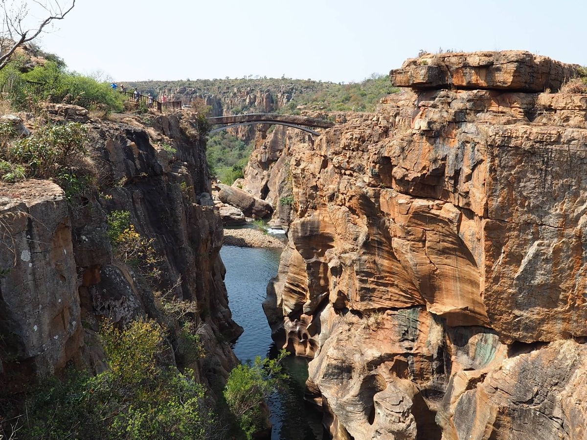 サファリのあと、ケープタウンに戻るフライトが翌日のため、クルーガー国立公園...