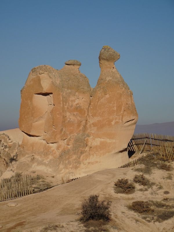 トルコ・イスタンブール「憧れの洞窟ホテルとグランドハイアットに泊まるトルコ周遊10日間」の写真：ラクダ岩
パムッカレ
メヴラーナ博物館
...