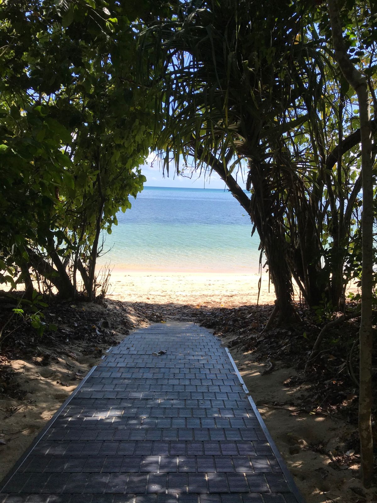 ケアンズ2日目①
・グリーン島