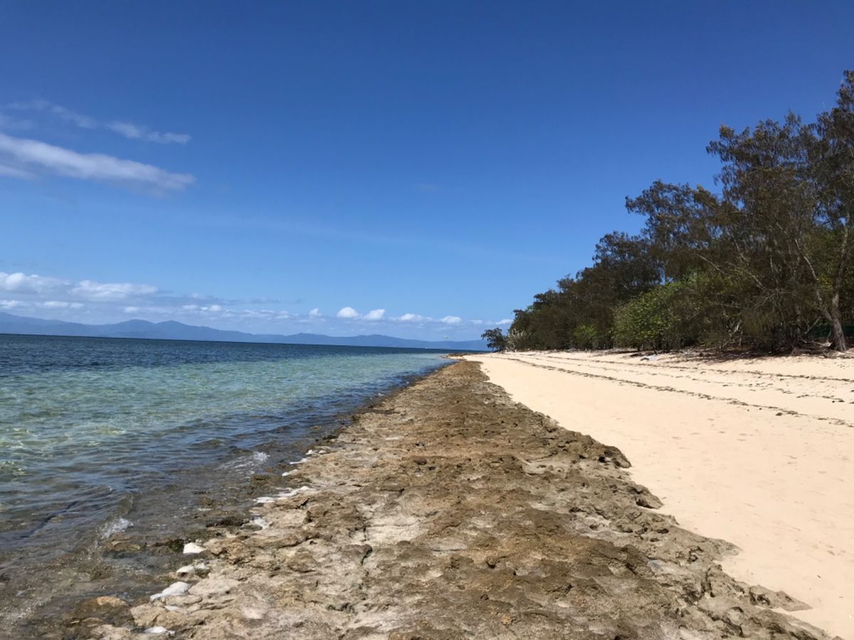 ケアンズ2日目①
・グリーン島