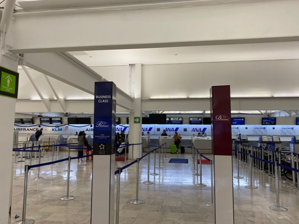 メキシコ・メキシコシティ「ただいまメキシコ！」の写真：ついに日本へ帰国のときが😭

インテルジ...