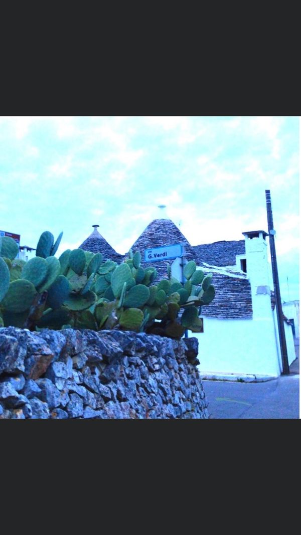 イタリア・ローマ「南イタリア」の写真：とんがり屋根のアルベロベッロ