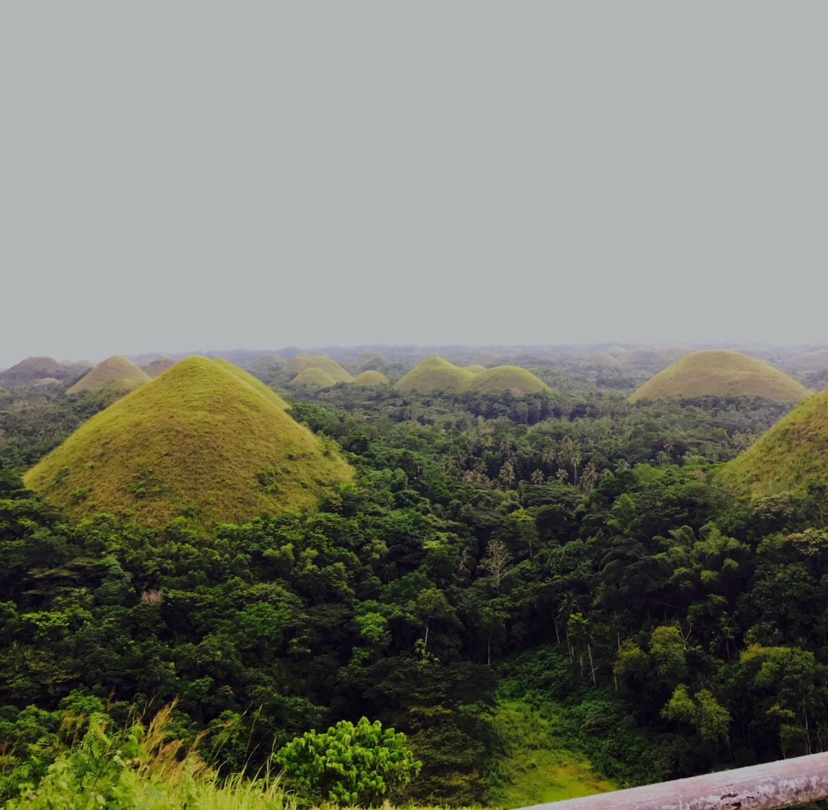 海が綺麗過ぎる！