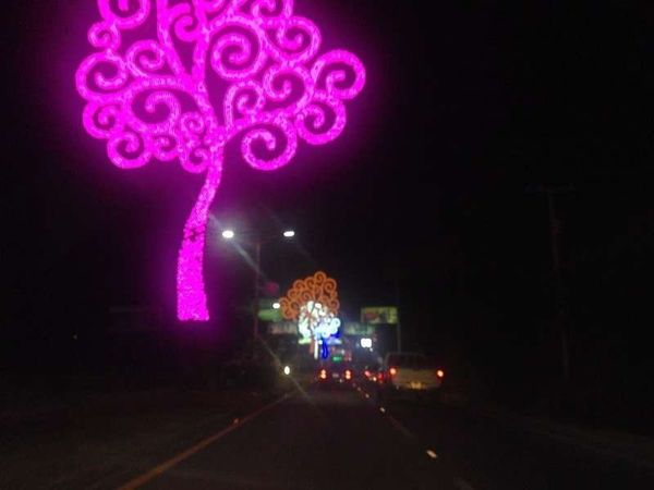 ニカラグア・グラナダ「2015年 ニカラグア 首都マナグアと古都レオン、グラナダ」の写真:首都マナグア着
この国も到着は夜になって...