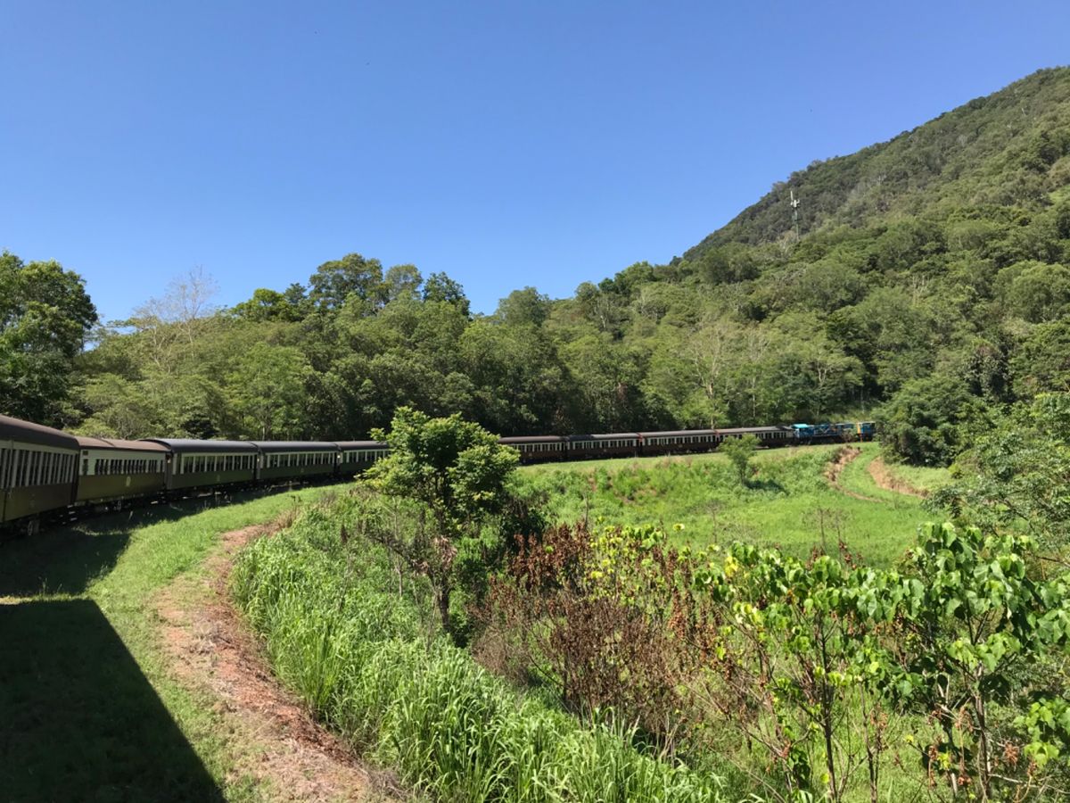 ケアンズ3日目
キュランダ鉄道