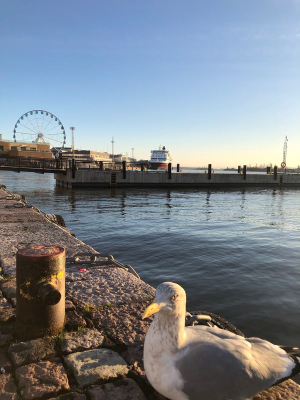 フィンランド「Helsinki」の写真