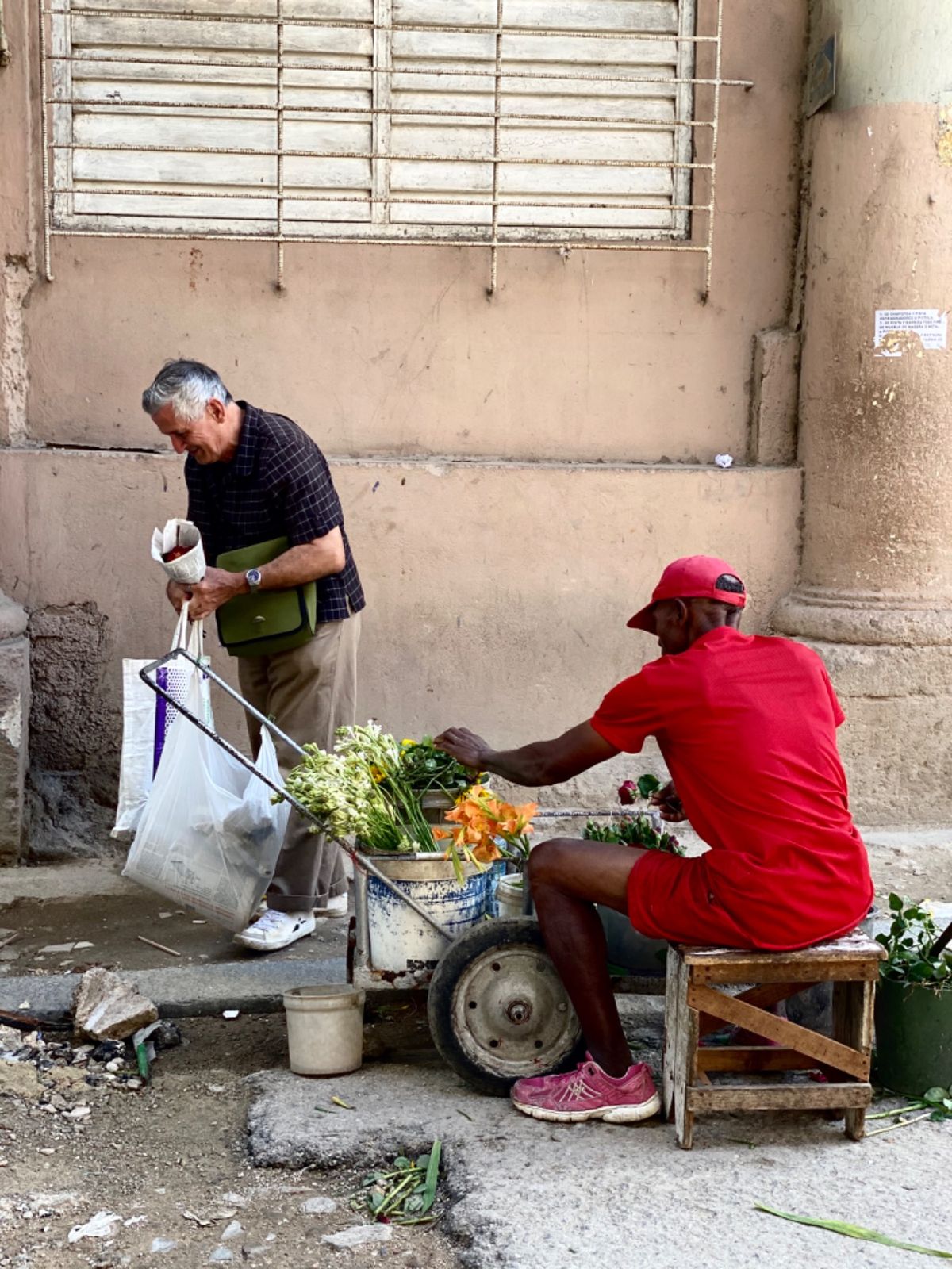 オールドハバナでは路上のあちこちで野菜や花が売られてました

どこを切り取...