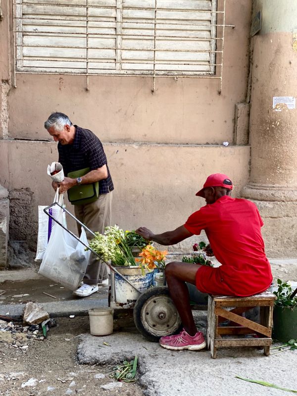 キューバ・ハバナ「1日弾丸ハバナ旅行」の写真：オールドハバナでは路上のあちこちで野菜や...