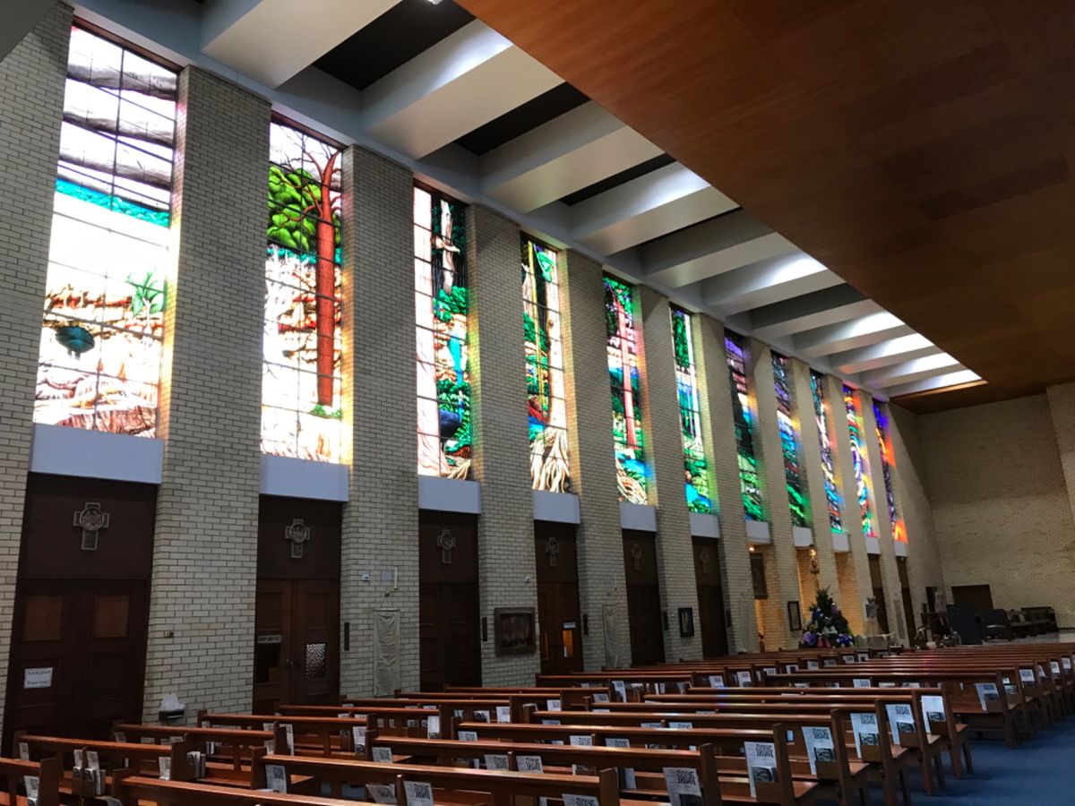 ケアンズ最終日①
サンタモニカズカテドラル