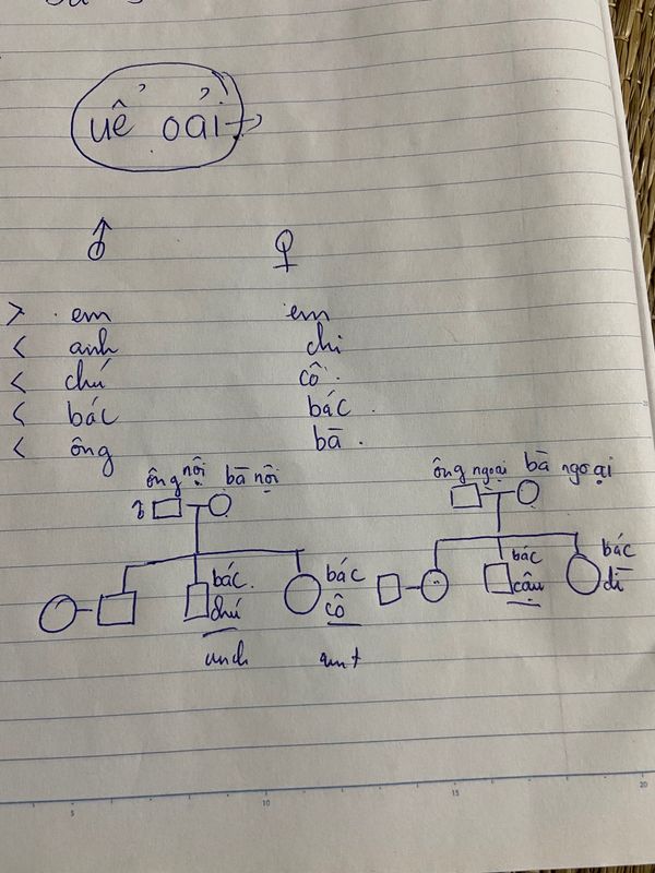 ベトナム「ベトナムで年越し」の写真：ベトナム語を勉強してますが読めても喋れま...