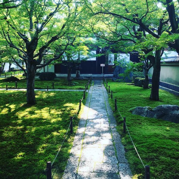 日本「週末京都」の写真