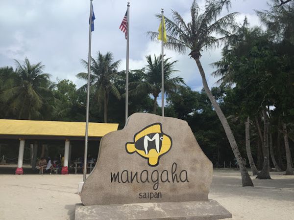 アメリカ(米国)・サイパン「サイパン」の写真：マニャガハ島
帰りのボートでイルカに会え...