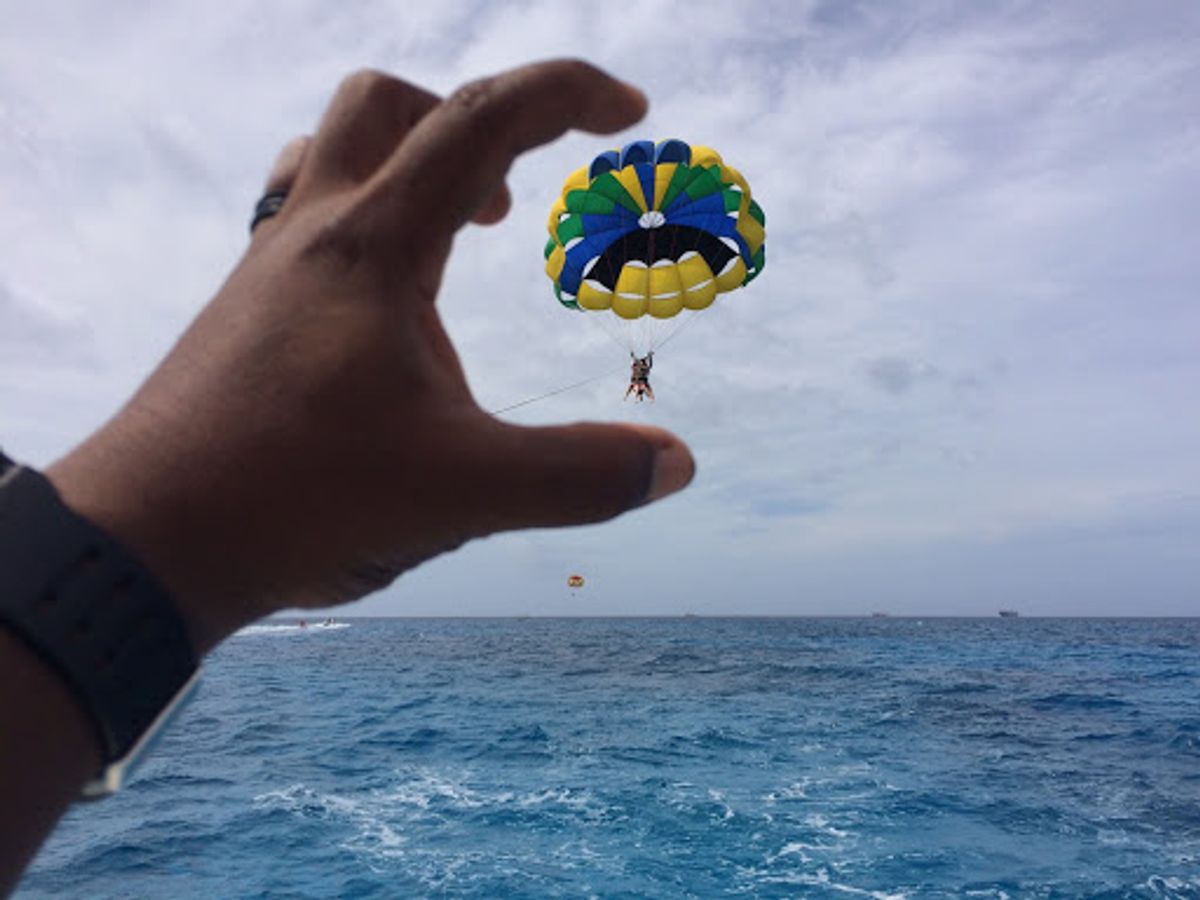 マニャガハ島
帰りのボートでイルカに会えました🐬