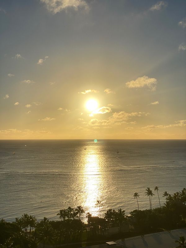 アメリカ(米国)・ハワイ「ハワイ オアフ島」の写真：トランプはワイキキの端っこで、見通しが良...