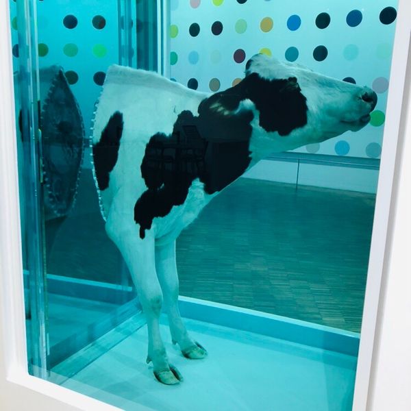 デンマーク・コペンハーゲン「ヨーロッパ旅行(3/4)」の写真：Damien Hirst’s works...