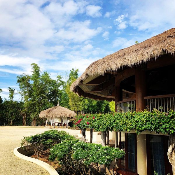 フィリピン・パングラオ島「パングラオ（ボホール）島旅行」の写真：憧れのバリカサグで潜るべくパングラオ島へ...