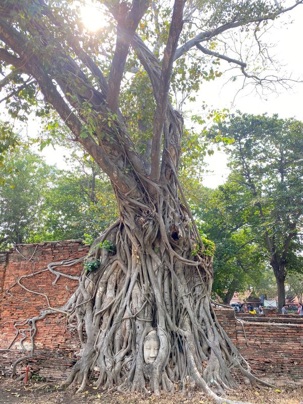 タイ「Bangkok」の写真