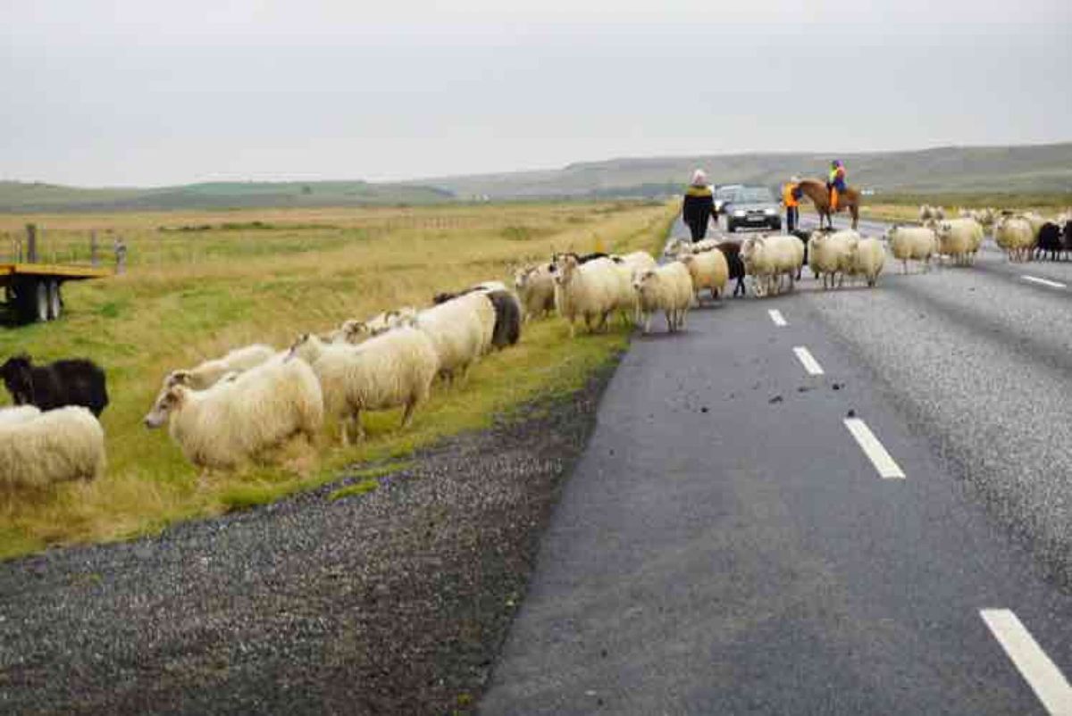 旅好きな友達とたまにはグループで旅してみようと計画したら、10人も集まって...