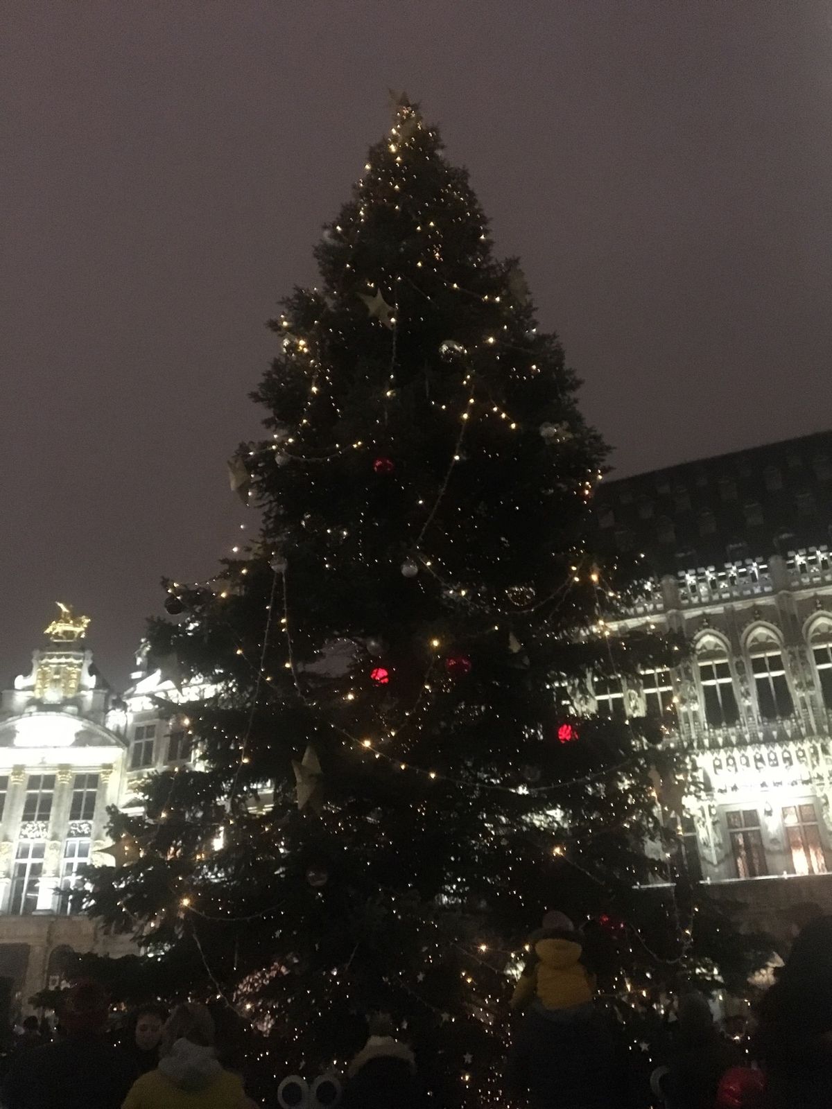 飛行機は３時半頃着。夕方街歩きできました。