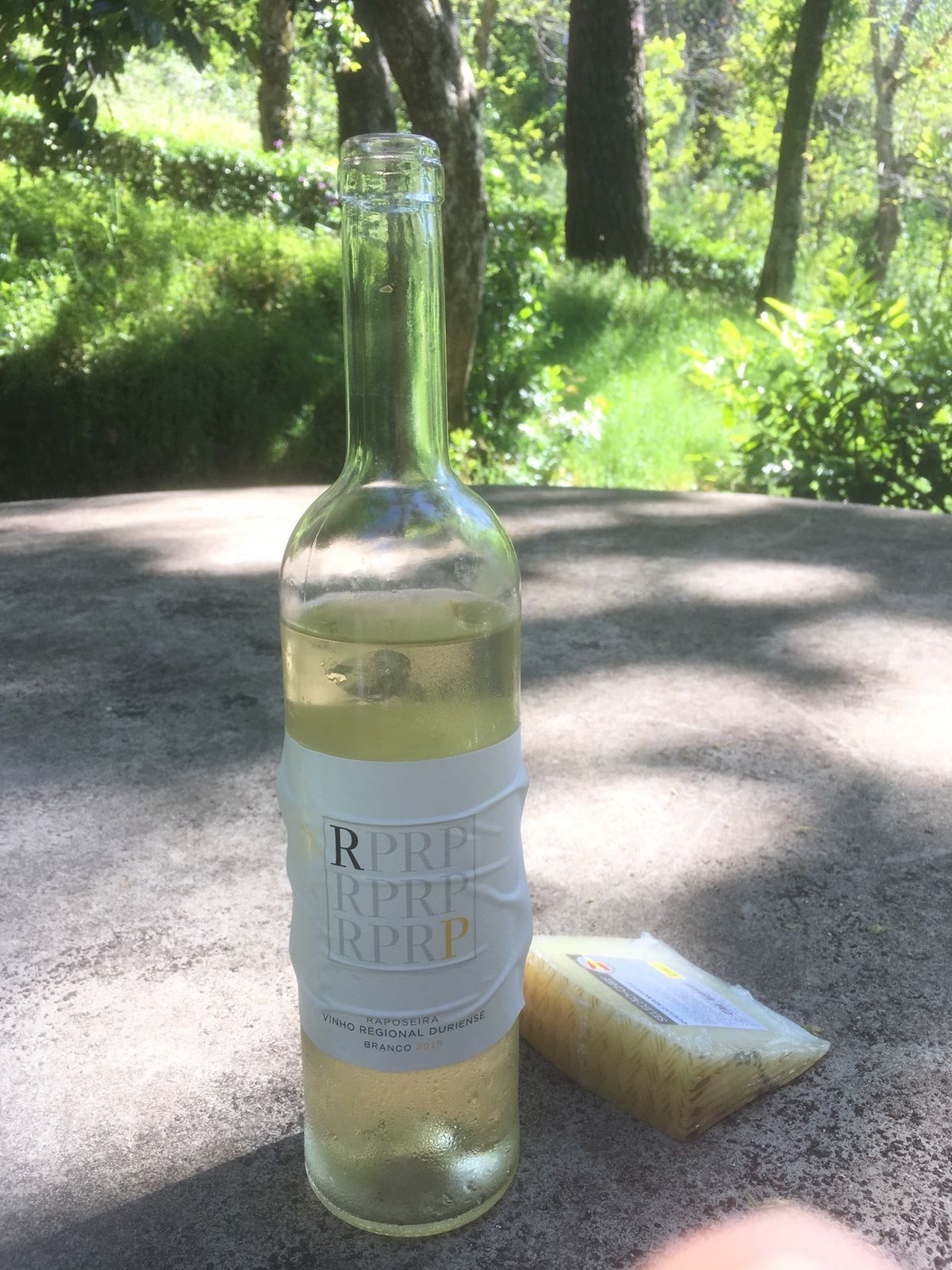 ラメーゴ、教会とお城からの眺めなど。森でランチしました。