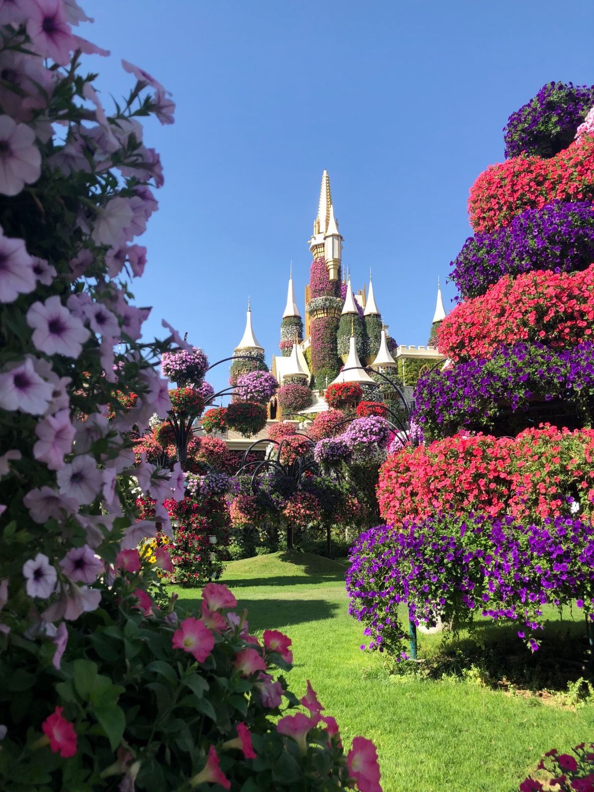 ドバイ奇跡の庭(ミラクルガーデン)です🐶🌈