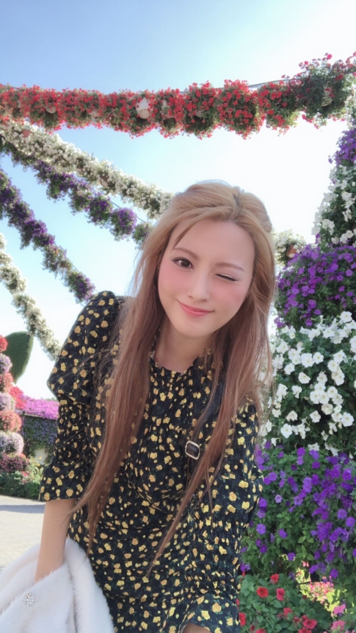 ドバイ奇跡の庭(ミラクルガーデン)です🐶🌈