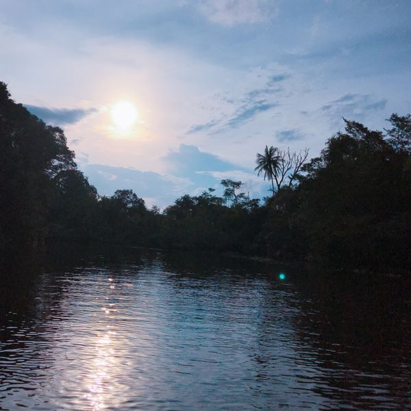 マレーシア・ボルネオ島「コタキナバル」の写真