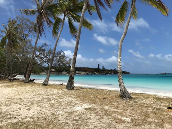 ニューカレドニア・ヌメア「ニューカレドニア🏝夫婦旅行」の写真
