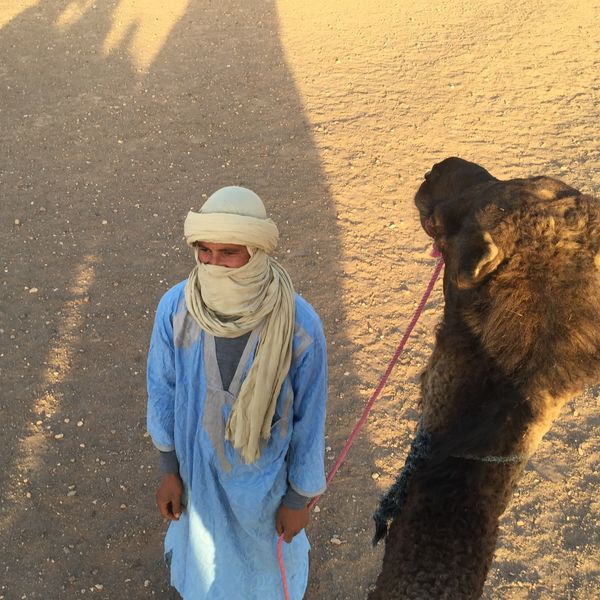 モロッコ・マラケシュ、フェズ、シェフシャウエン、サハラ砂漠「モロッコ」の写真