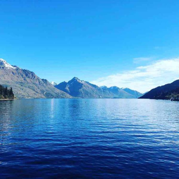 ニュージーランド・オークランド「newzeland」の写真：早朝にミルフォードサウンドに着くように深...