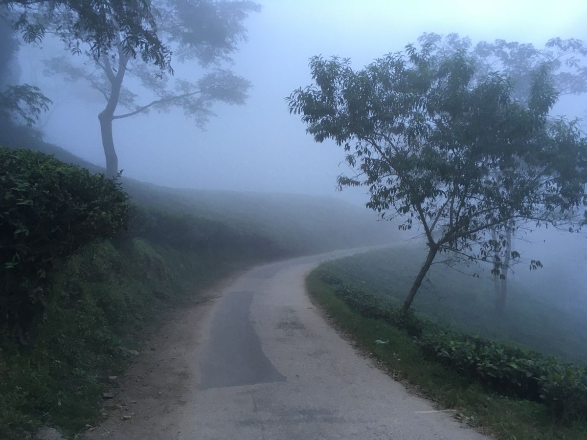 イラム。お茶畑が広がる町。滞在中は何度も霧に包まれた。
