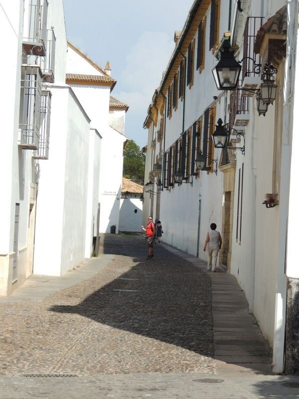 スペイン・コルドバ「2017年 アンダルシアに憧れて」の写真：コルドバへ。白い壁が目立つ。