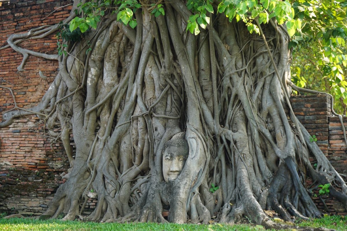 💁‍♀️アユタヤ遺跡