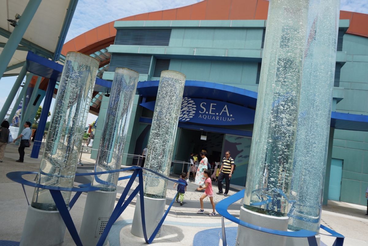 💁‍♀️シーアクアリウム