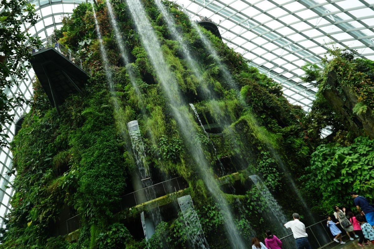 💁‍♀️ガーデンズ・バイ・ザ・ベイ
今度は夜に行きたいな〜