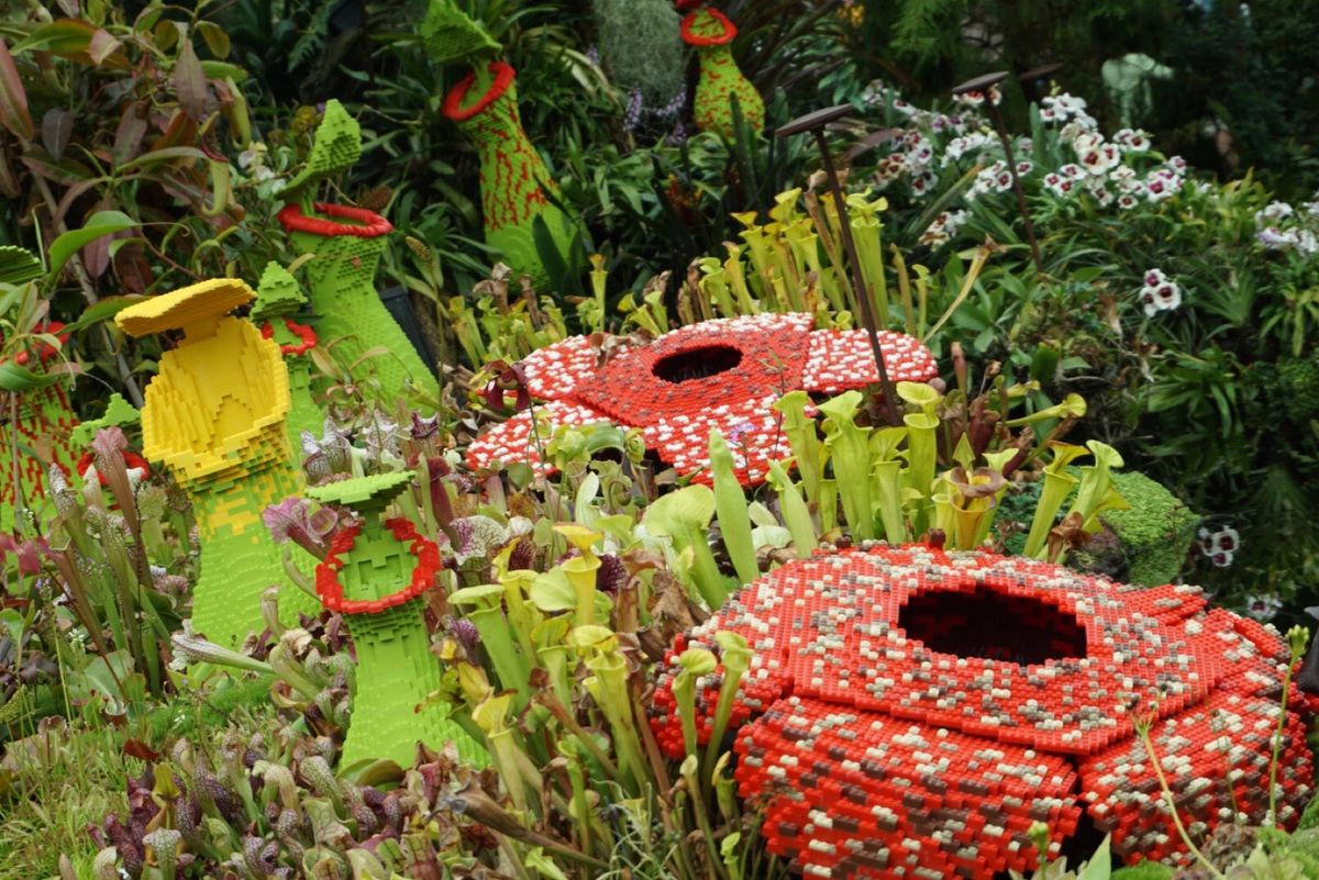 💁‍♀️ガーデンズ・バイ・ザ・ベイ
今度は夜に行きたいな〜