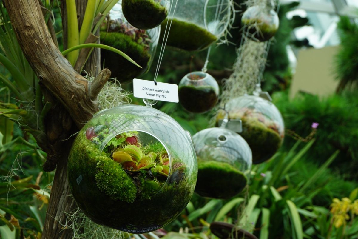 💁‍♀️ガーデンズ・バイ・ザ・ベイ
今度は夜に行きたいな〜