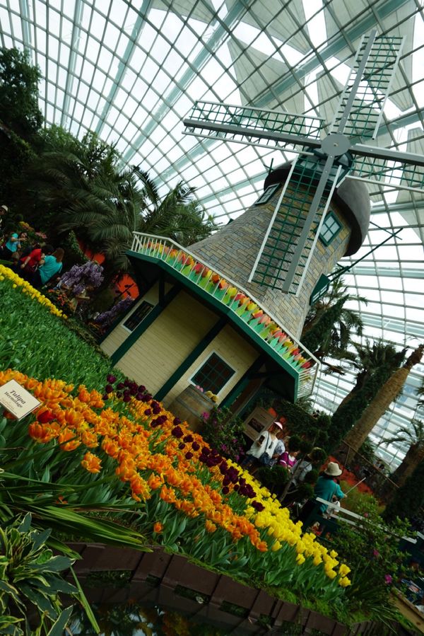 シンガポール・ガーデンズバイザベイ「シンガポール旅行」の写真：💁‍♀️ガーデンズ・バイ・ザ・ベイ