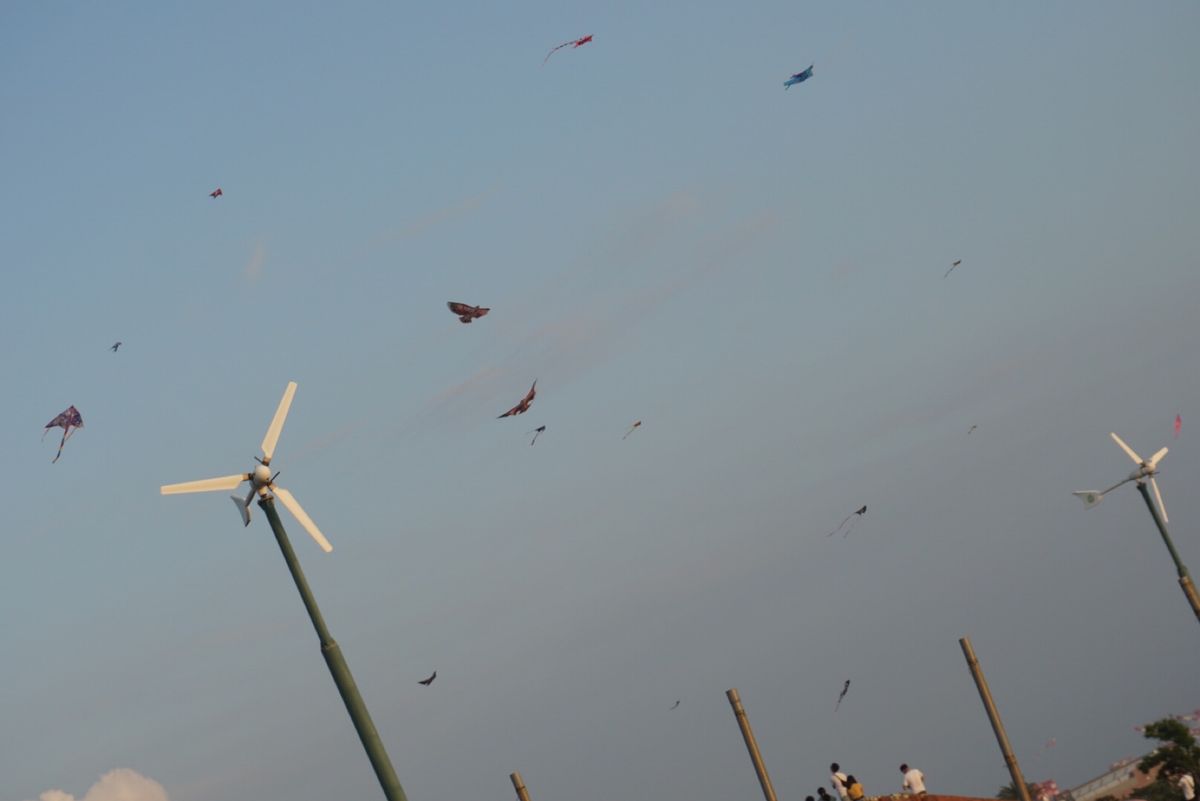 💁‍♀️高雄の旗津半島
何があった訳でもないけど何か楽しかった！
(多分、...
