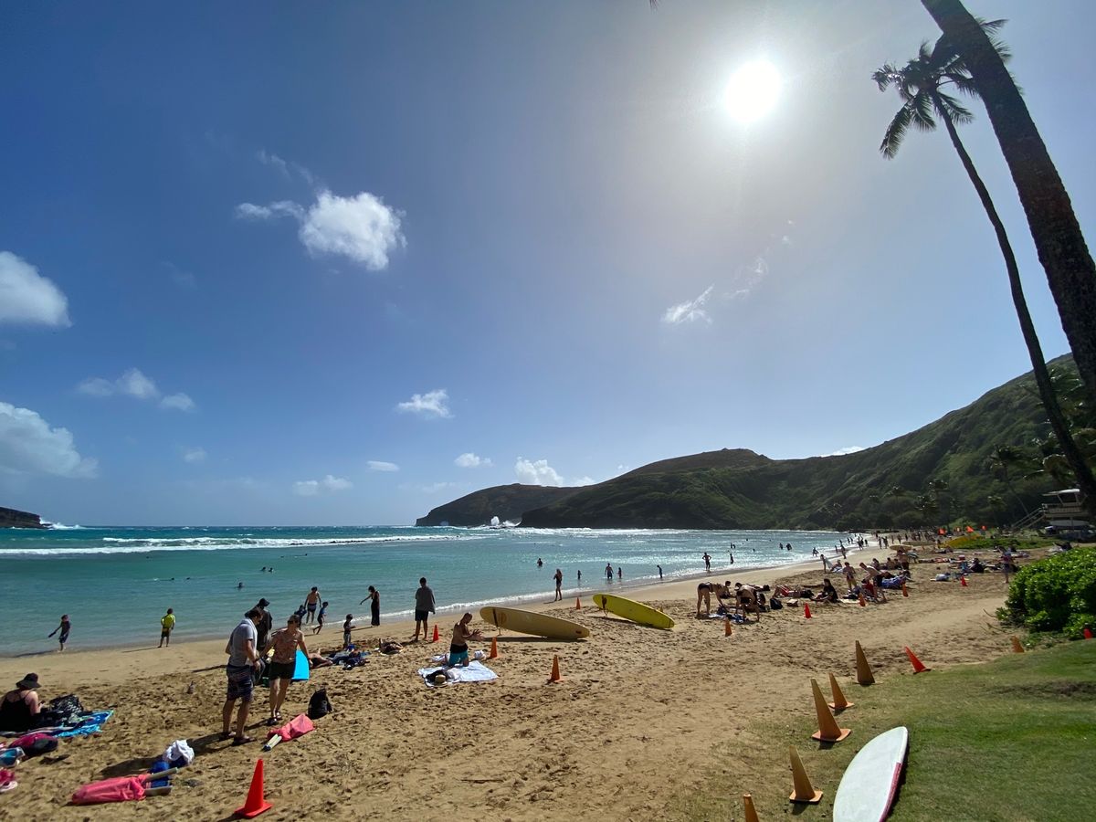 ハナウマ湾でシュノーケリング。

この日は風が強く、少し海が荒れていて、あ...