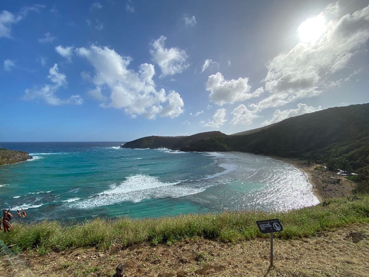 ハナウマ湾でシュノーケリング。

この日は風が強く、少し海が荒れていて、あ...