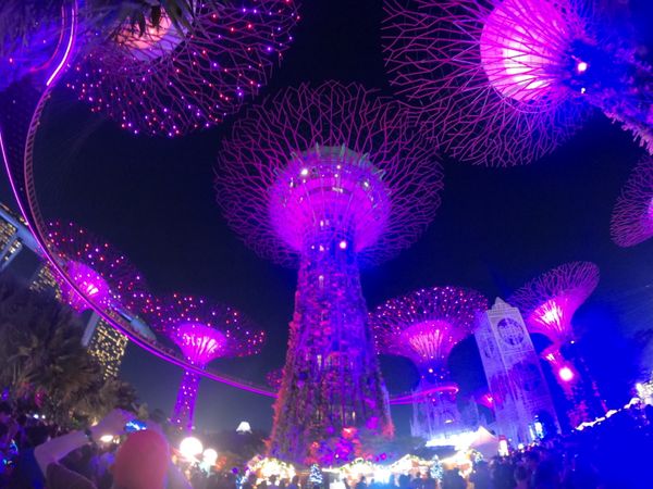 シンガポール・シンガポール「惚れてしまった」の写真