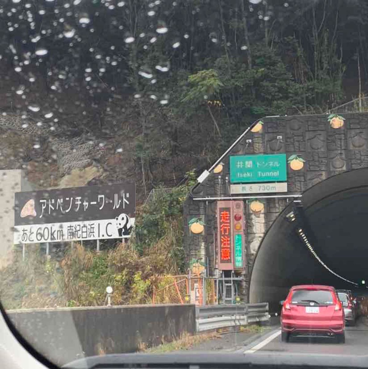 大阪市内から車で約3時間
和歌山はアドベンチャーワールドに参りました
...